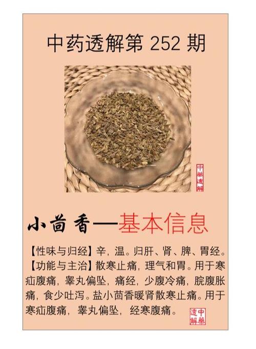 茴香图片作用与功效缩略图