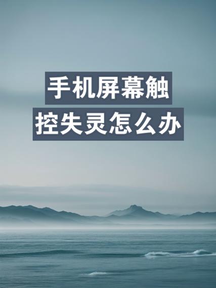 vivo屏幕触屏失灵缩略图