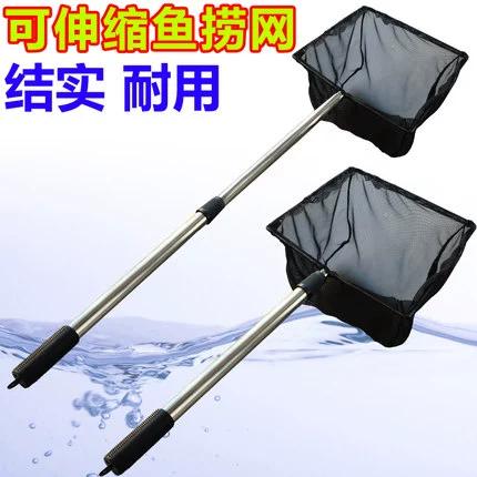 锦鲤网缩略图