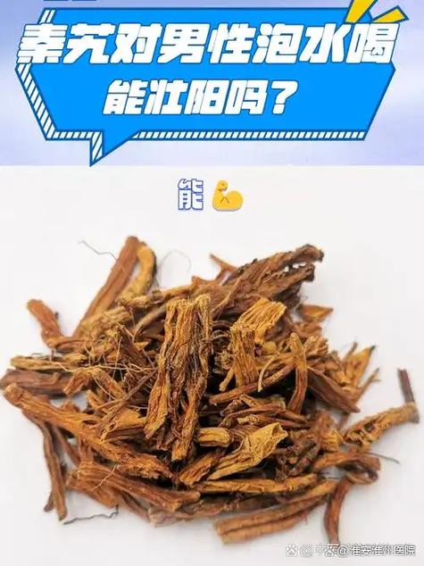秦艽的十大壮阳功效游戏截图