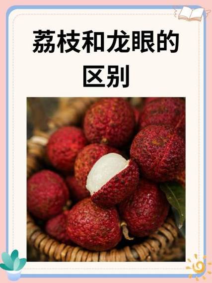 龙眼影评app官方下载入口游戏截图