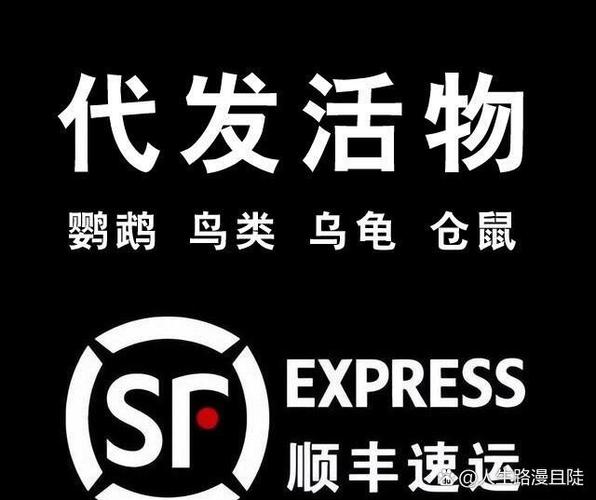 顺丰快递能寄宠物吗?缩略图