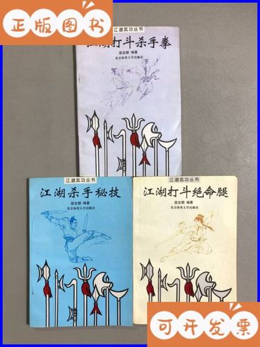 江湖杀手秘籍游戏截图