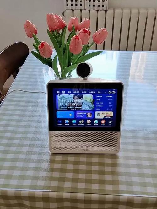 小度可以当蓝牙音响吗游戏截图
