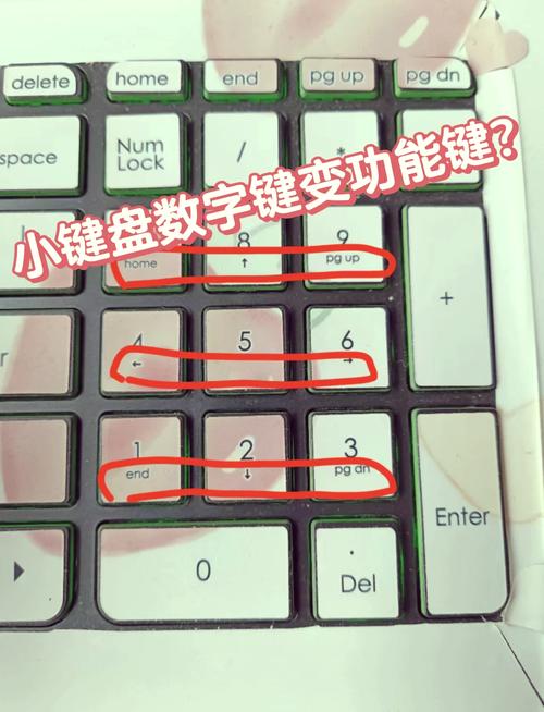 电脑小键盘数字键打不出数字缩略图