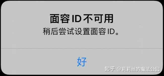 苹果换屏后面容id不能用图标