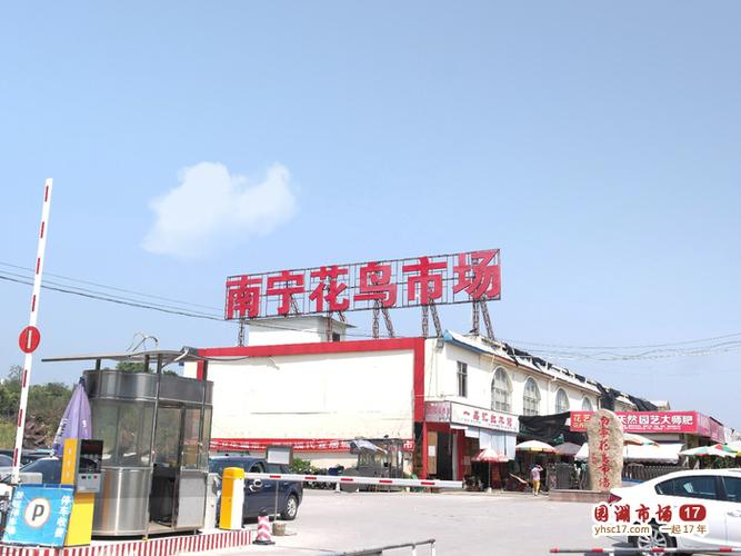 附近的花鸟市场在哪里缩略图