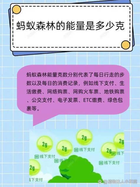 蚂蚁森林钉钉打卡多少能量游戏截图