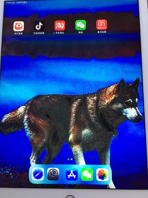 苹果平板ipad有重影是什么情况缩略图