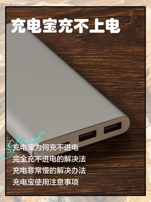 充电宝充电没反应游戏截图