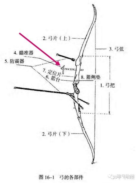 射箭入门选什么弓缩略图