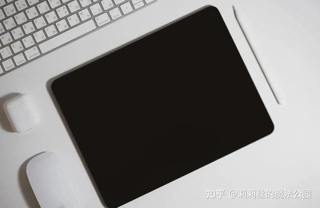 ipad黑屏怎么办重启不了游戏截图