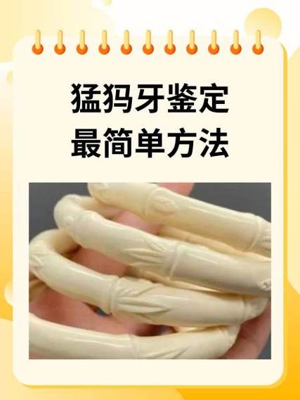 辨别猛犸象牙真假简单缩略图