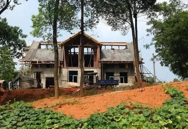 自家树地可以建房吗缩略图