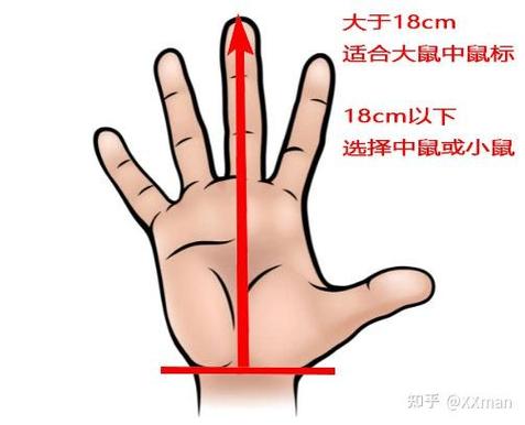 鼠标小手中手大手尺寸缩略图