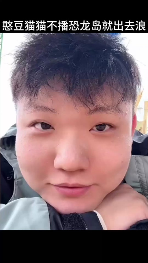 恐龙岛憨豆缩略图