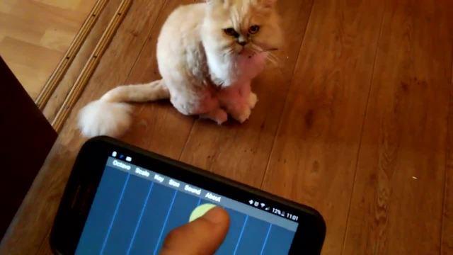 模仿猫叫声音软件缩略图
