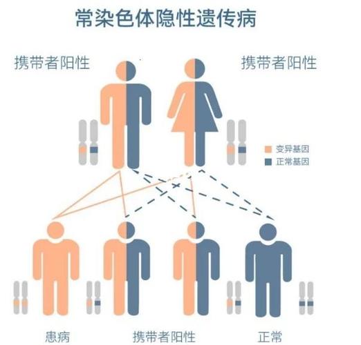 支付宝隐藏性别游戏截图