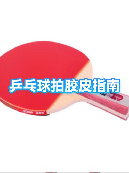 乒乓球拍胶皮用多久换一次缩略图