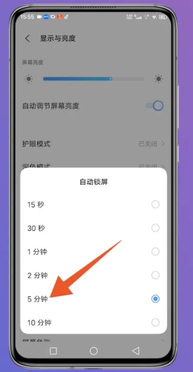 ipad点击屏幕亮屏怎么设置游戏截图