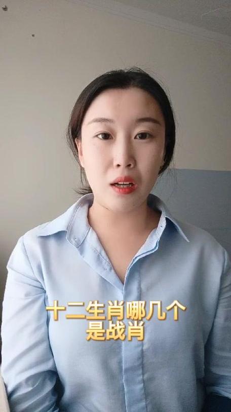 十二生肖战斗肖游戏截图