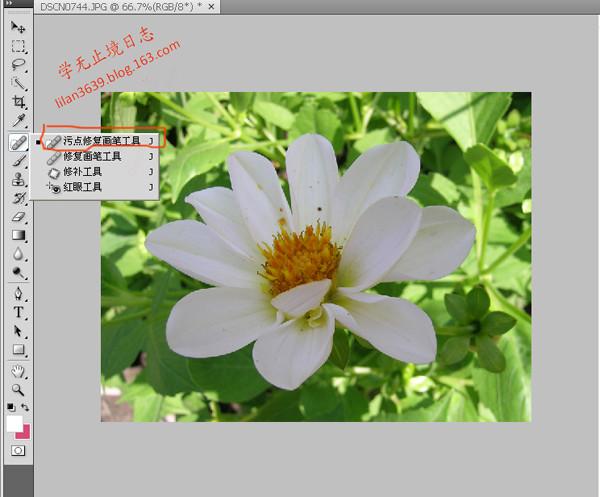 iphone黑点按了没反应图标