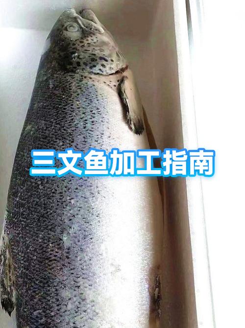 三文鱼解冻缩略图