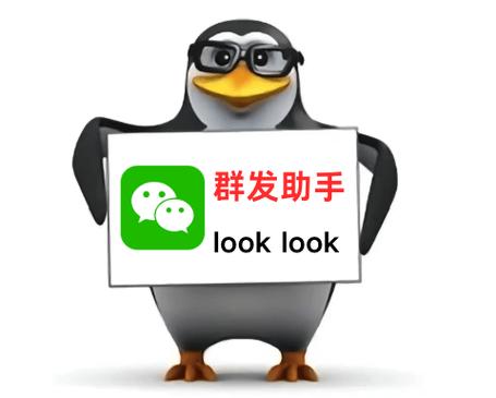 微信群发免费软件图标