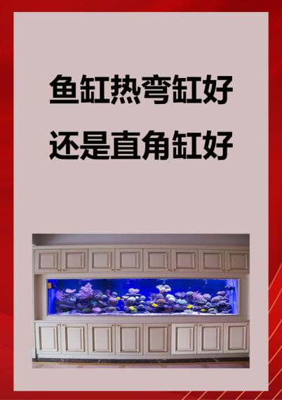 热弯鱼缸游戏截图