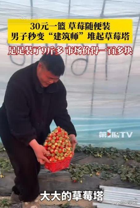 去草莓园摘草莓要钱吗游戏截图