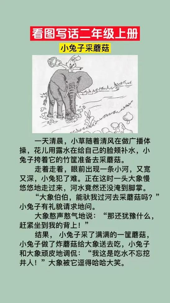 二年级大象救小兔缩略图