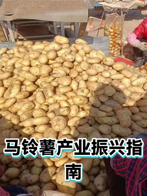 产业振兴内容有哪些缩略图