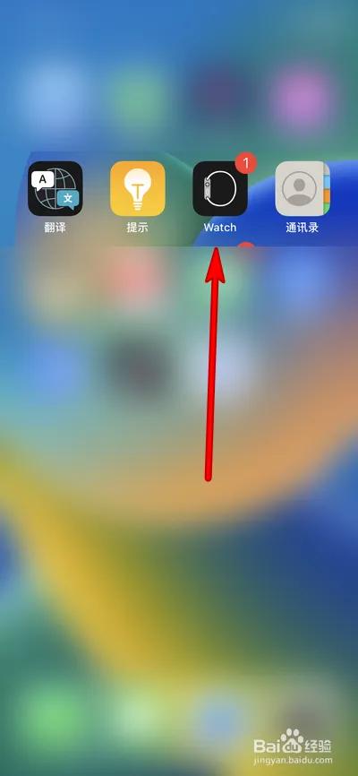applewatch黑屏没反应游戏截图