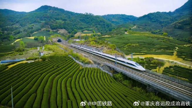 高铁前是G或D缩略图