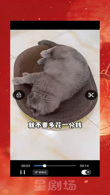 星剧场免费影视大全播放器缩略图