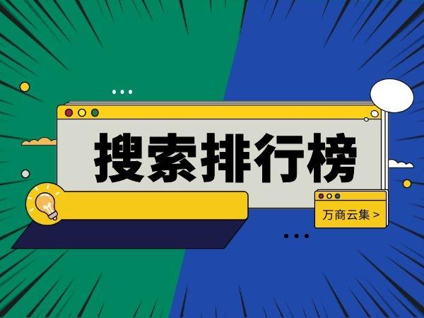 搜索网站排行榜缩略图
