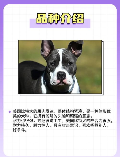 比特币和libra的区别缩略图