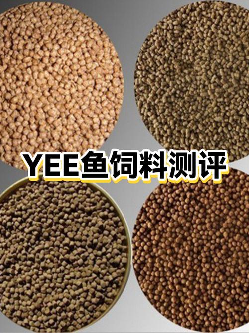 鱼饲料十大名牌排行榜缩略图