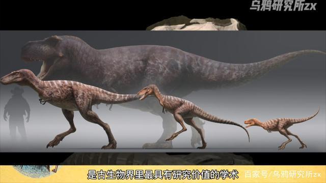 侏儒暴龙缩略图