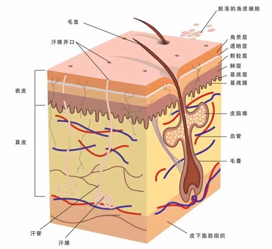 使命召唤16皮肤挑战缩略图