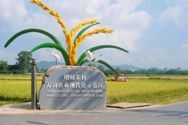 粮食保质期多长时间游戏截图