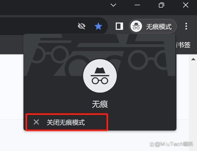 苹果浏览器无痕浏览不见了缩略图