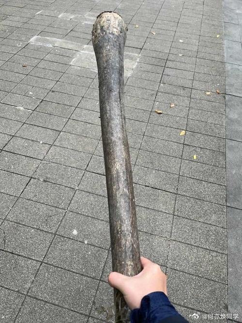 去年噩梦棒子缩略图
