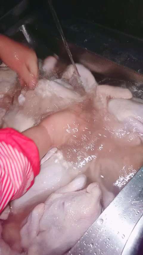 小鸡很脏怎么清洗