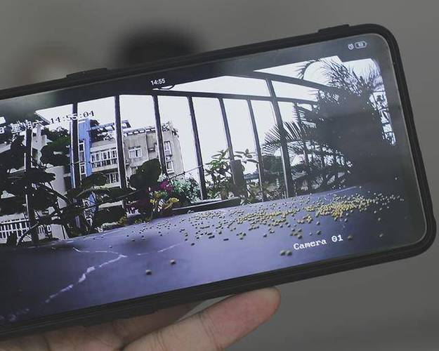 萤石云视频监控下载安装视频缩略图