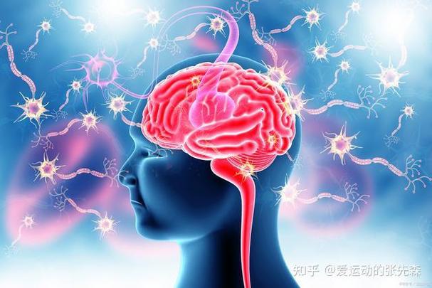 粉丝对大脑有影响吗缩略图