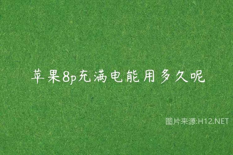 苹果8充满电能用几小时游戏截图