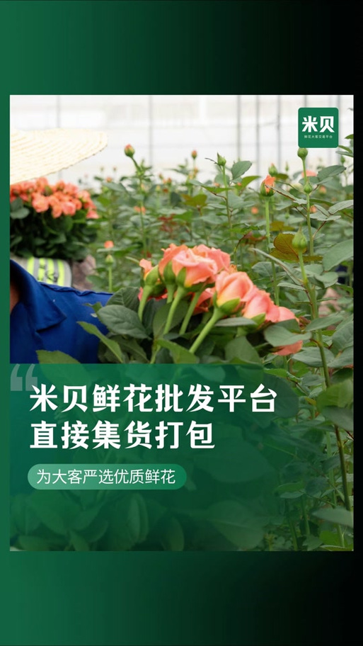 鲜花批发交易平台游戏截图