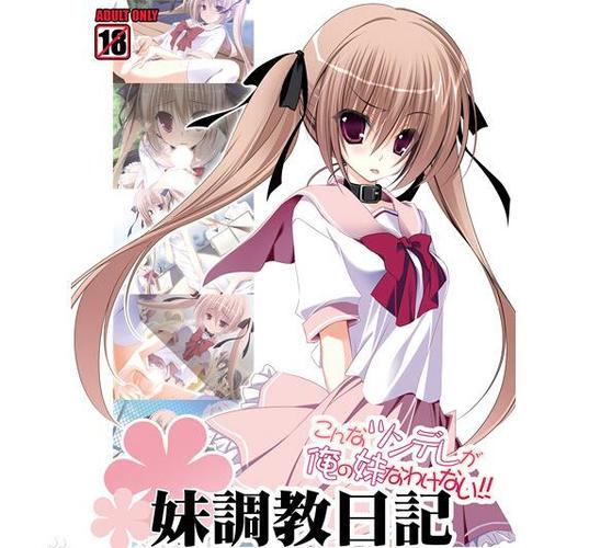 妹调日记apk安装缩略图