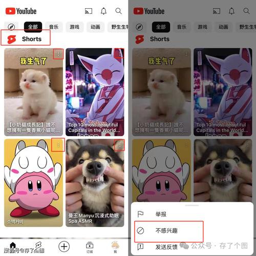 youtube安卓版安装包缩略图